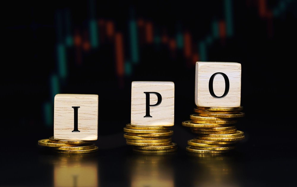 Read more about the article The 2025 IPO Boom: Key Sectors Dominating the Indian Primary Market